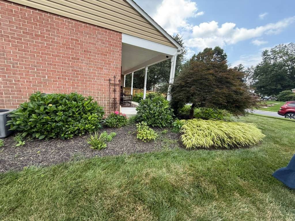 Chico's Landscaping